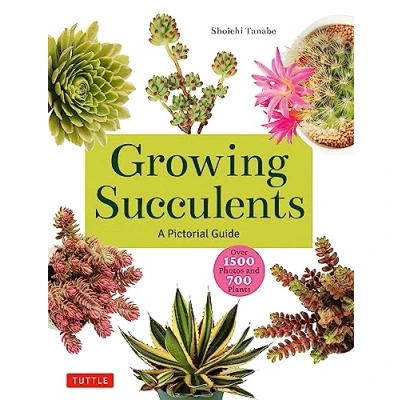 Afbeelding van Growing Succulents