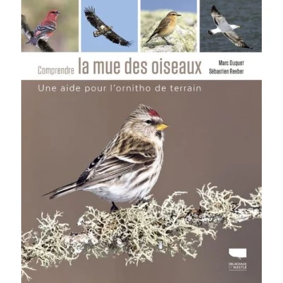 Image de Comprendre la mue des oiseaux
