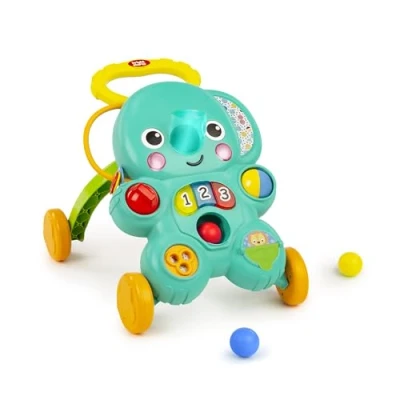 Afbeelding van Stroll &#039;n Roll 2 in 1 Ball Play Walker.