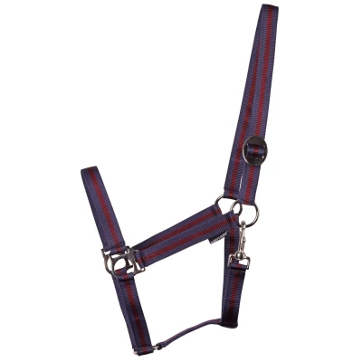 Image de Harry&#039;s Horse Halter Economy
