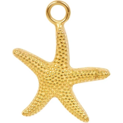 Afbeelding van Charm sea star iXXXi Necklaces Gold