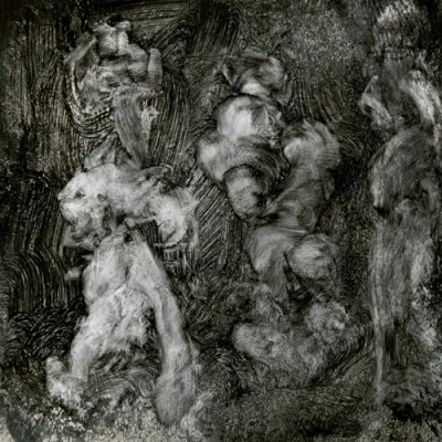 Afbeelding van Mark Lanegan &amp; Duke Garwood With Animals (CD)