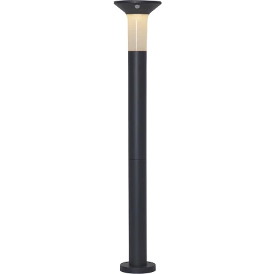 Afbeelding van Star Trading Solar paalverlichting Valta, padverlichting, grafiet, LED, schemersensor, bewegingssensor, warm wit, buiten, 90 cm
