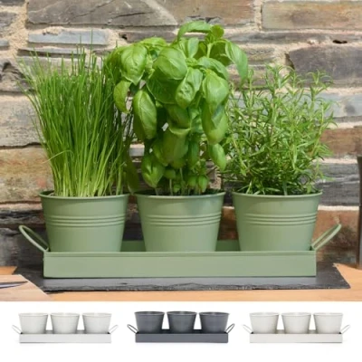 Afbeelding van CKB LTD Kruidenbak keuken Bloempot kruiden plantenbak Binnen Plantenpotjes Set van 3 Groen Kweekbak Kruidenpot Verse