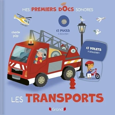 Afbeelding van LES TRANSPORTS