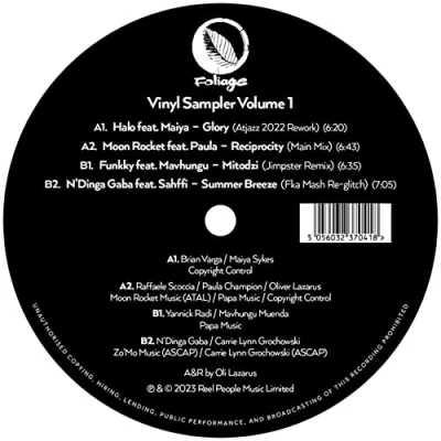 Afbeelding van V/A Foliage Records Vinyl Sample (Single)
