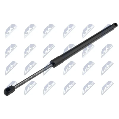 Afbeelding van NTY AE CH 023 Gasveer achterklep 860 429