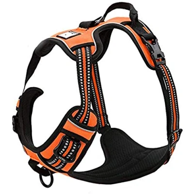 Afbeelding van Truelove Hondenharnas Country XS 33 43cm Oranje
