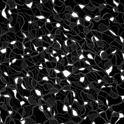 Afbeelding van Gary War &amp; Purple Pilgrims Split (LP)