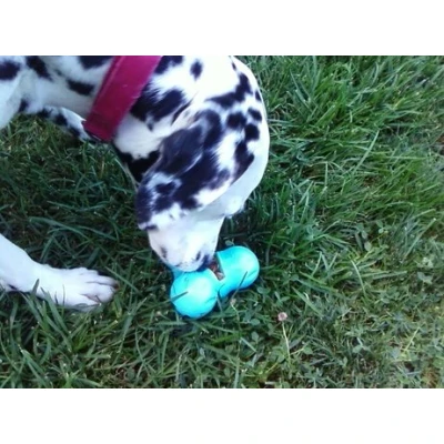 Afbeelding van West Paw Design Hondenspeelgoed Zogoflex Tux Aqua