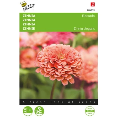 Afbeelding van Zaden zinnia eldorado 1 gram Buzzy