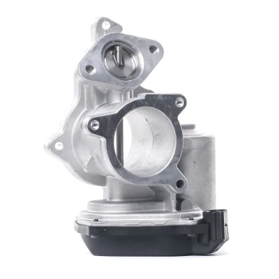 Afbeelding van DELPHI EG10404 12B1 EGR klep Met pakkingen AUDI: A6 C6 Saloon, A4 B7 Avant, Avant