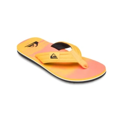 Afbeelding van Quiksilver Molokai Layback Teensandalen, Heren, Maat: 46, Mkz Katoen