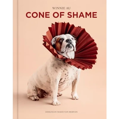 Afbeelding van Cone of Shame