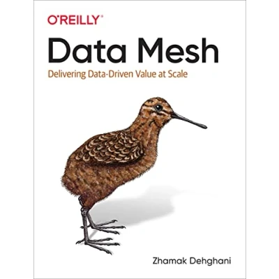 Afbeelding van Data Mesh