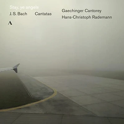 Afbeelding van Gaechinger Cantorey, Hans Christoph Rademann Stay, Ye Angels (CD)