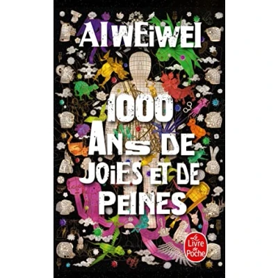Afbeelding van 1 000 ans de joies et peines