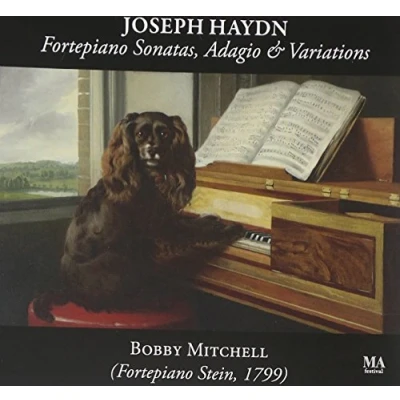 Afbeelding van Bobby Mitchell Pianoforte Sonatas (CD)