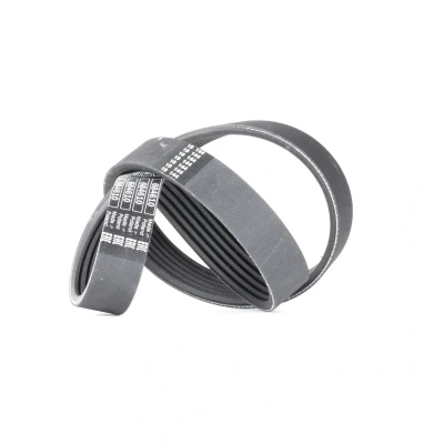 Afbeelding van Bosch Poly V riem 1 987 948 318