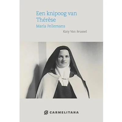 Afbeelding van Een knipoog van Therese