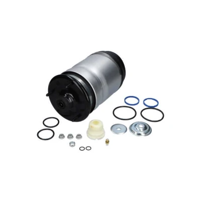 Afbeelding van Kavo Parts Veer SAS 10033