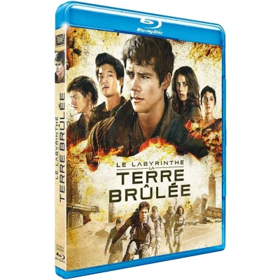 Afbeelding van Le Labyrinthe : La Terre Brûlée