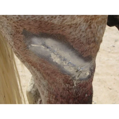 Afbeelding van Aluminium Spray