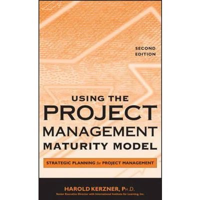 Afbeelding van Using the Project Management Maturity Model