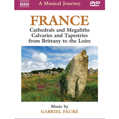Afbeelding van Various Artists A Musical Journey, France (Fauré) (DVD)