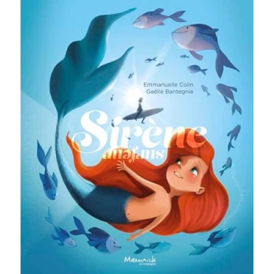 Afbeelding van SIRENE