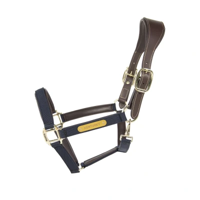 Image de Kentucky Licol Anatomic Nylon Marin Full