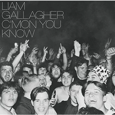 Afbeelding van Liam Gallagher C&#039;mon You Know (LP)