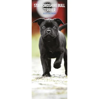 Afbeelding van Staffordshire Bull Terrier Kalender 2025 Slimline