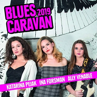 Afbeelding van Blues Caravan 2019