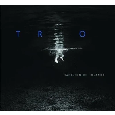 Afbeelding van Hamilton De Hollanda Trio (CD)