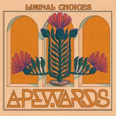 Afbeelding van Liminal choices