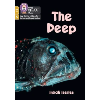 Afbeelding van Big Cat Phonics for Little Wandle Letters and Sounds Revised Age 7+ The Deep