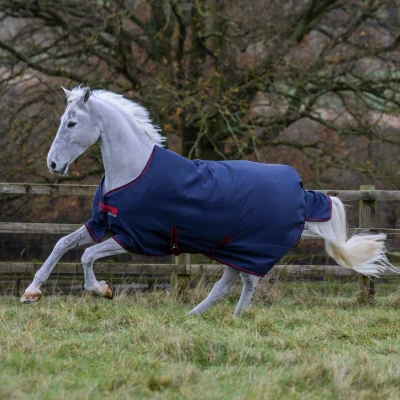 Image de Freedom Turnout Graphite