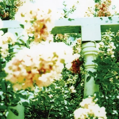 Afbeelding van Unwed Sailor Little Wars (LP)