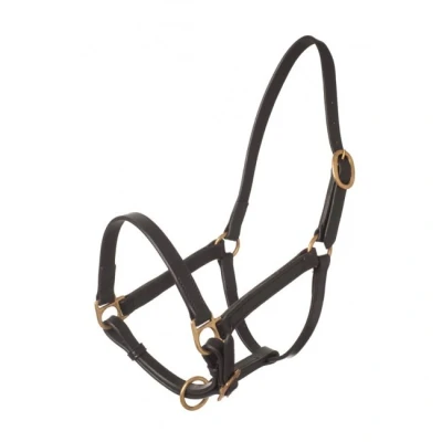 Image de HB Licol Big Foal Cuir Noir Yearling