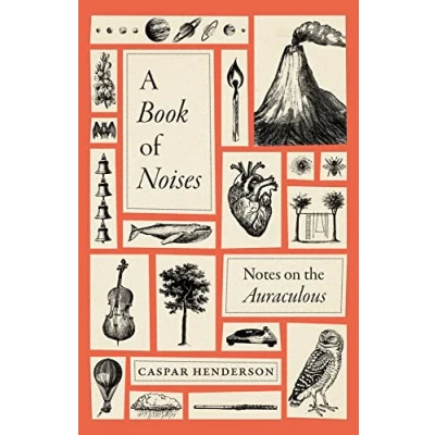 Afbeelding van A Book of Noises