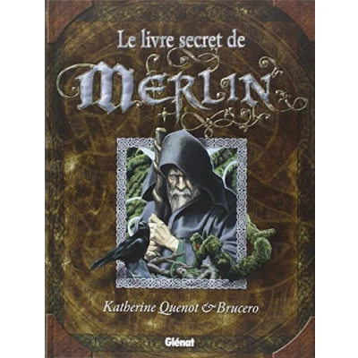 Afbeelding van Le livre secret de Merlin