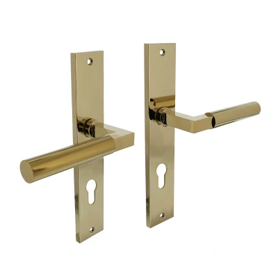 Afbeelding van Intersteel Deurkruk Bau Stil op schild 245x45 mm profielcilindergat 72 messing titaan PVD