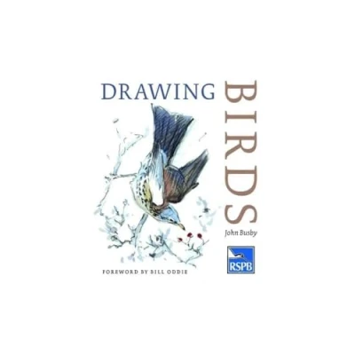 Afbeelding van Drawing Birds