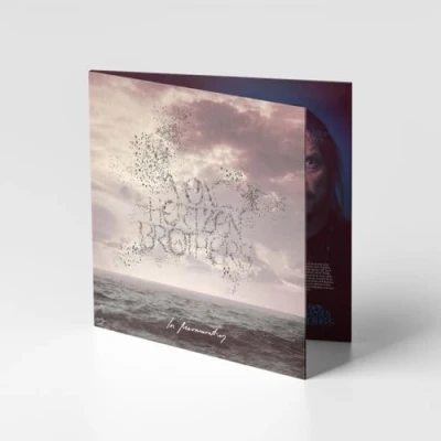 Afbeelding van Von Hertzen Brothers In Murmuration (CD)