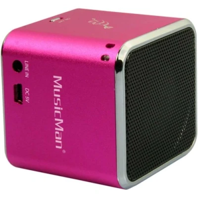 Afbeelding van MUSICMAN WIRELESS SOUNDSTATION BT X2 PI