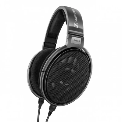 Afbeelding van Sennheiser HD 650 Hoofdtelefoons Hoofdband Zwart, Grijs