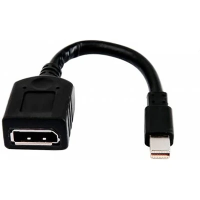 Afbeelding van HP 2MY05AA DisplayPort Adapter [1x Mini stekker 1x bus]