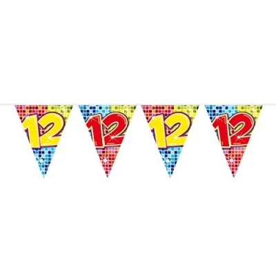 Afbeelding van 12 Jaar Mini Vlaggenlijn Birthday Blocks 3 meter