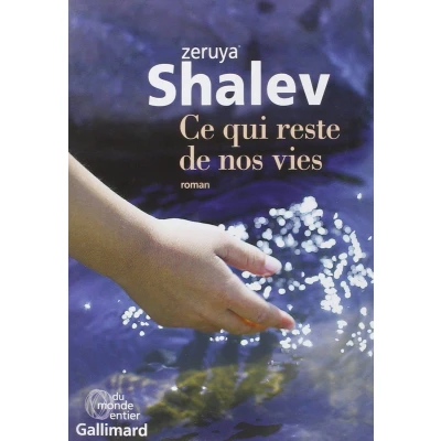 Afbeelding van Ce qui reste de nos vies